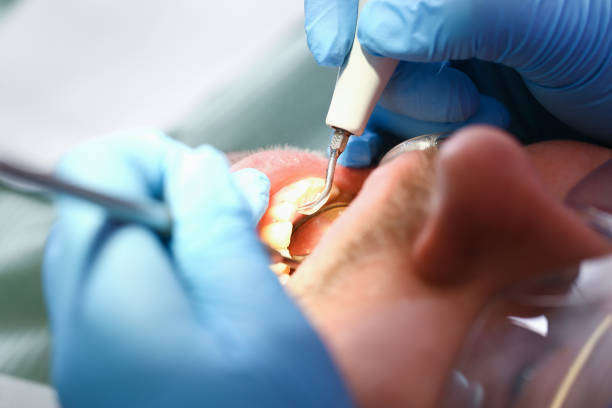 Best Emergency Cosmetic Dentistry in Forest View, IL
